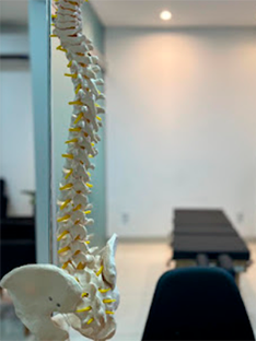 Estrutura da clínica Essência Vertebral 2